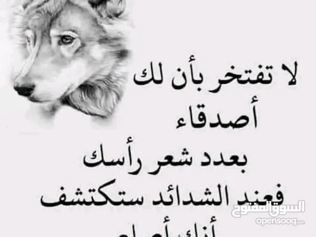 محرك فيرنا 15 للبيع