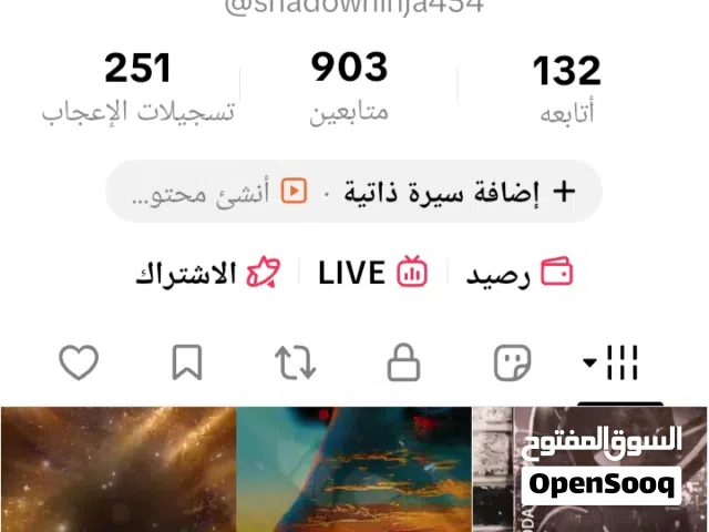 حساب تيك توك مستوى 29