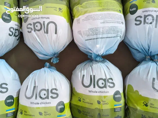 دجاج مثلج ومذبوح حسب الشريعة الاسلامية