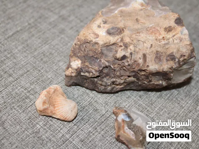 قطع جيولوجية طبيعية
