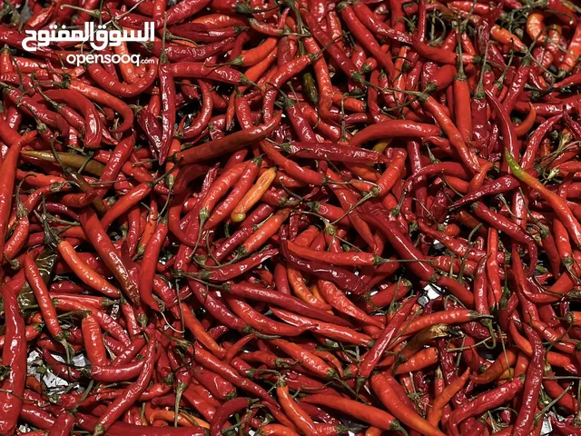 فلفل حار نار