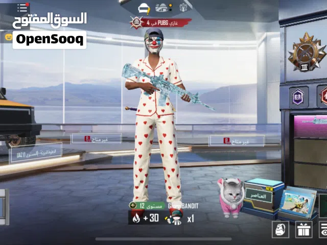 Pubg Accounts and Characters for Sale in Farwaniya