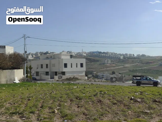 Residential Land for Sale in Amman Al-Dmenah