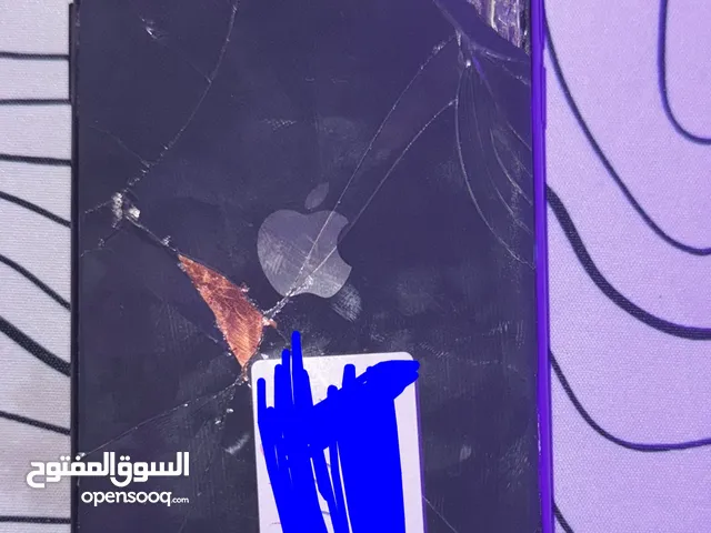 Apple iPhone 11 Other in Fujairah