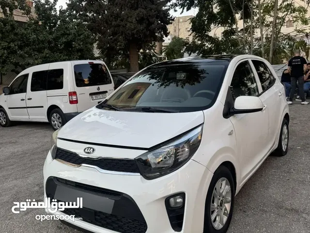 كيا مورننغ 2019 ترخيص2018