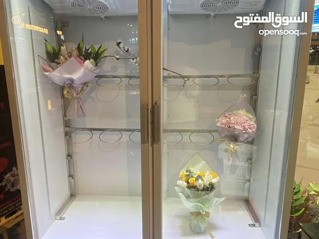 A-Tec Refrigerators in Dubai