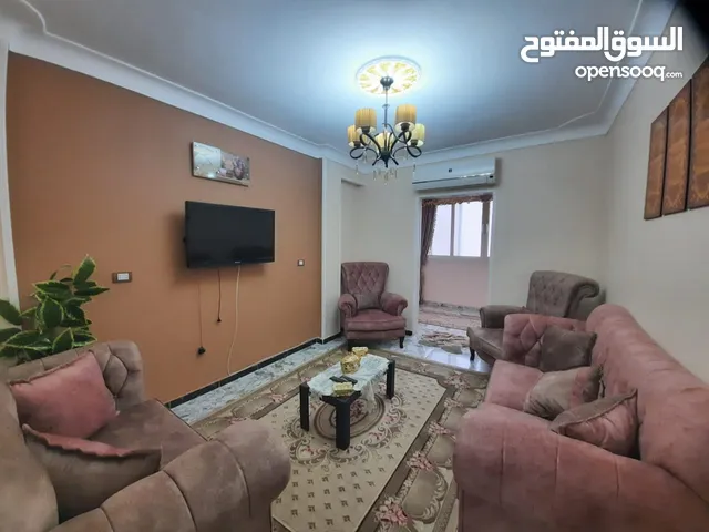 150 m2 5 Bedrooms Apartments for Rent in Alexandria Bacchus