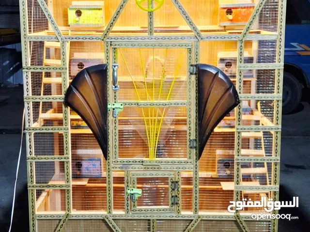 قفص بلابل طيور الحب