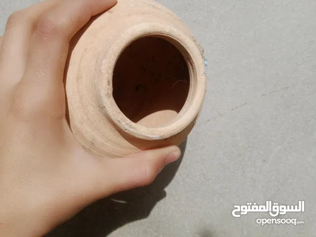 حضانات طيور