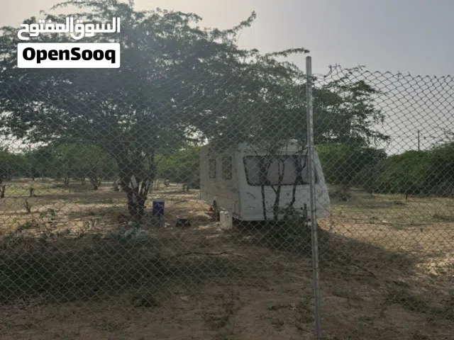 يوجد مزارع للايجار براس الخيمة سنوي 33000