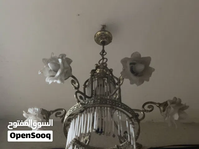 ثريا إيطالية اصلية