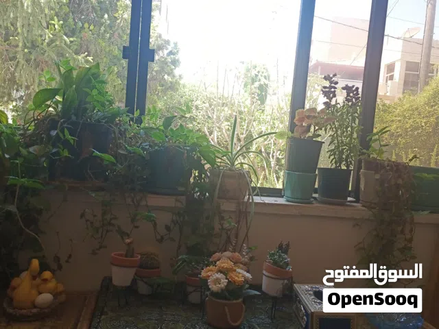 شقه شارع المدينه المنوره 120 م للايجار 3 نوم