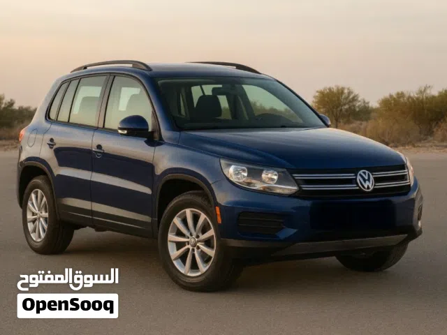 Volkswagen Tiguan 2015