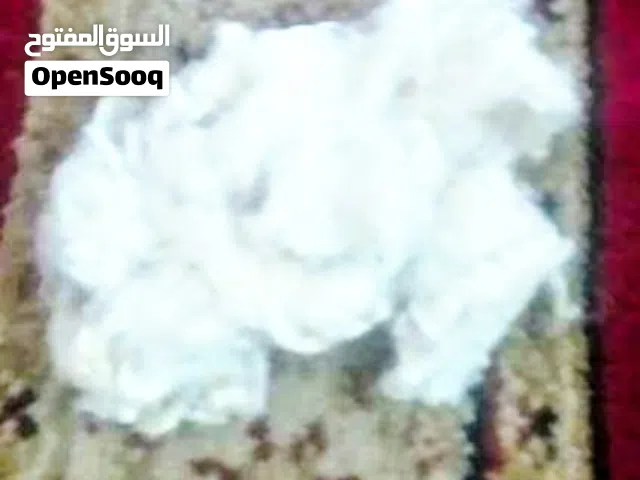 عطب تنجيد نظيفة - سعر جملة ما يتفوت *    *فرصة لأصحاب الورش والمفروشات والمجالس