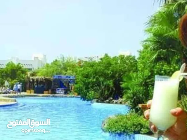 50m2 Studio Apartments for Rent in South Sinai Sharm Al Sheikh