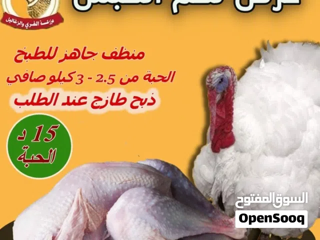 نبيع لحم الحبش والديك البلدي والبيض البلدي الطازج