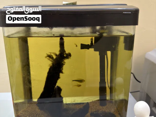 حوض اسماك حجم صغير