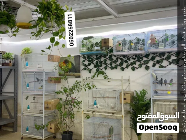طيور منتجين حرق اسعار الوصف مهم