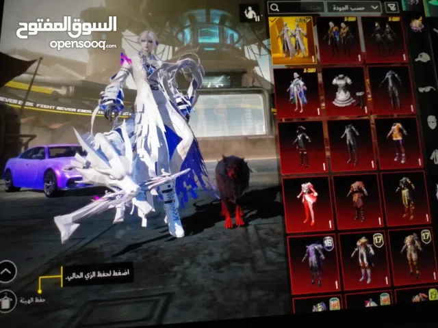 Pubg Accounts and Characters for Sale in Wasit