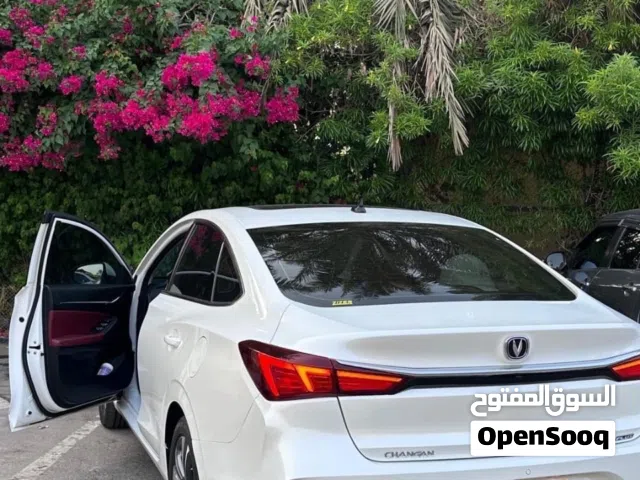 2022, Changan, Eado, Basic