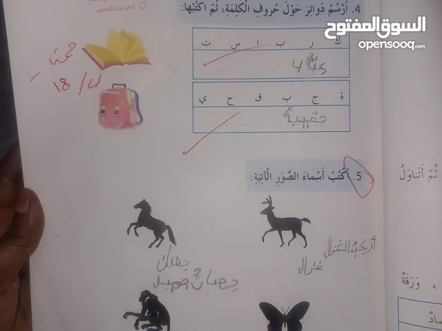 Elementary Teacher in Abu Dhabi