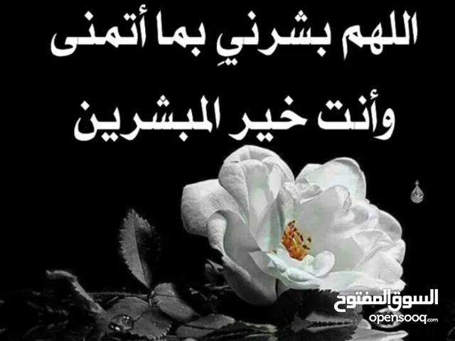 احمد محمد للعلي العلي