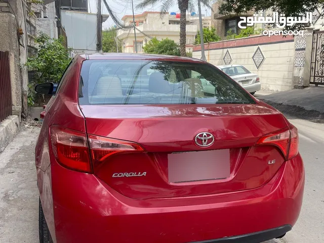 كوريلا للبيع موديل 2019