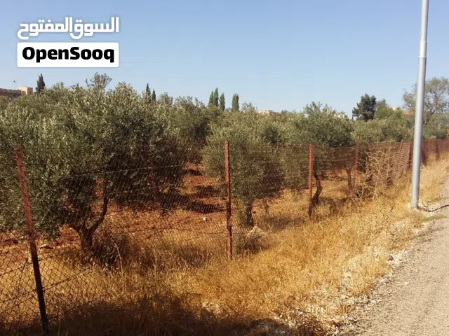 أرض سكنية للبيع في مادبا جرينة الغربي تنظيم سكن ب