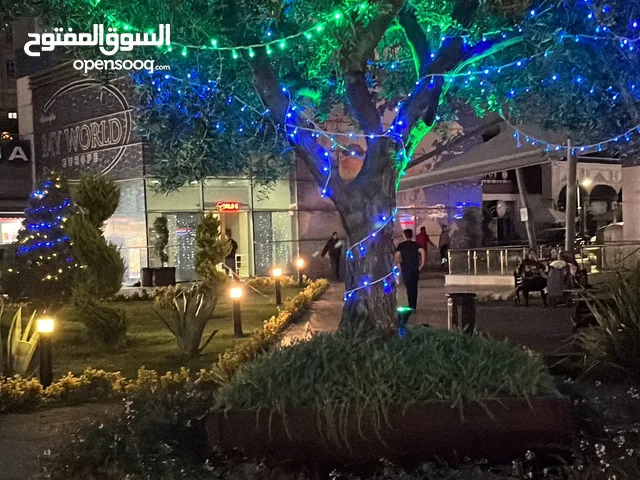 منزل تجاري علي الرئيسي