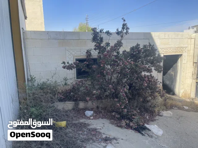 هنجر صناعي للبيع فارغ