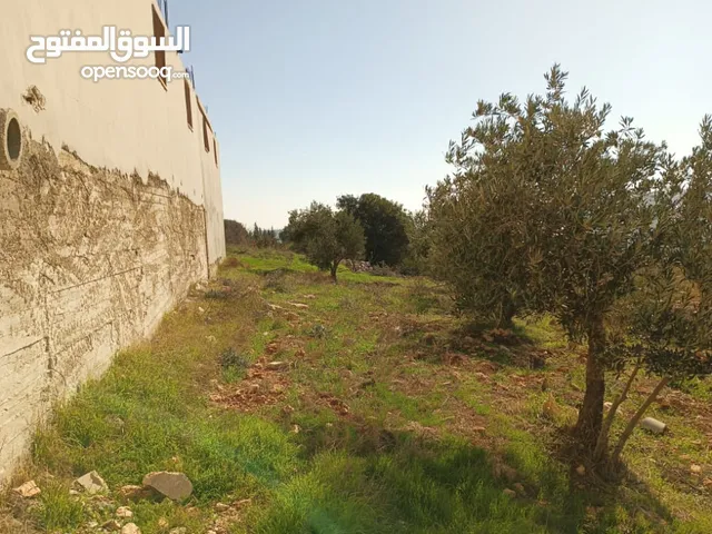 Farm Land for Sale in Ajloun Sakhra