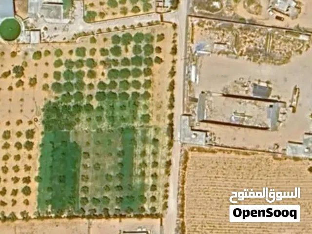 قطعة ارض للبيع في اربع شوارع النشيع