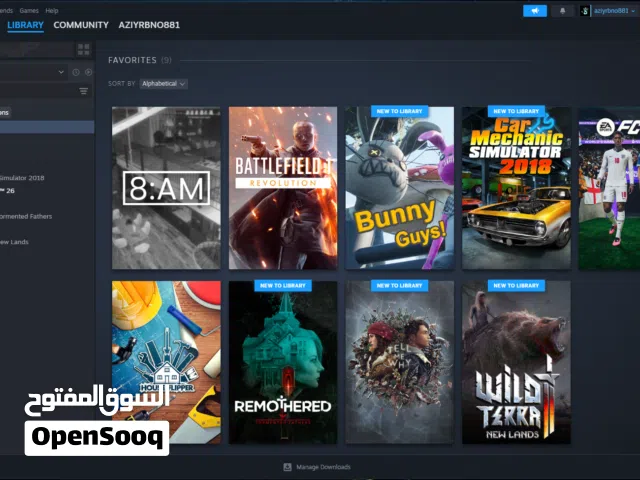 حساب Steam للبيع ألعاب أصلية FC 26 + Battlefield 1 والمزيد بسعر مميز