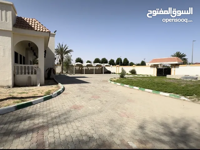 0 m2 More than 6 bedrooms Villa for Rent in Al Ain Zakher
