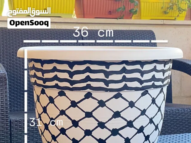 كوار نباتات للزينة