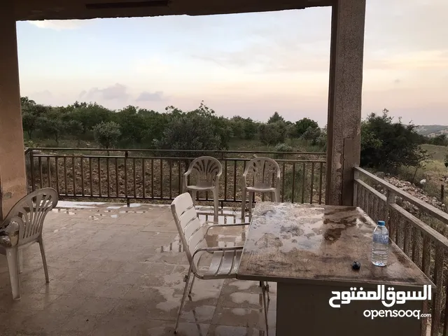 Farm Land for Sale in Ajloun Other