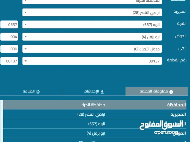 ارض للبيع الكرك القصر