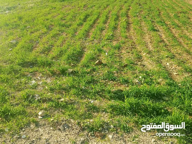 قطعه ارض للبيع بسعر مغري