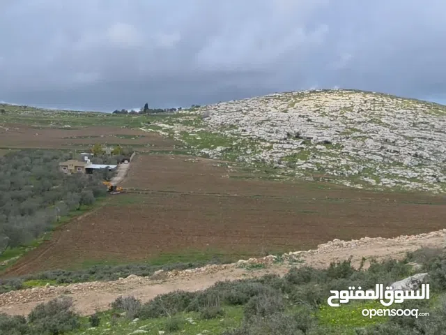 ارض جبليه للبنى في الزاويه جنين