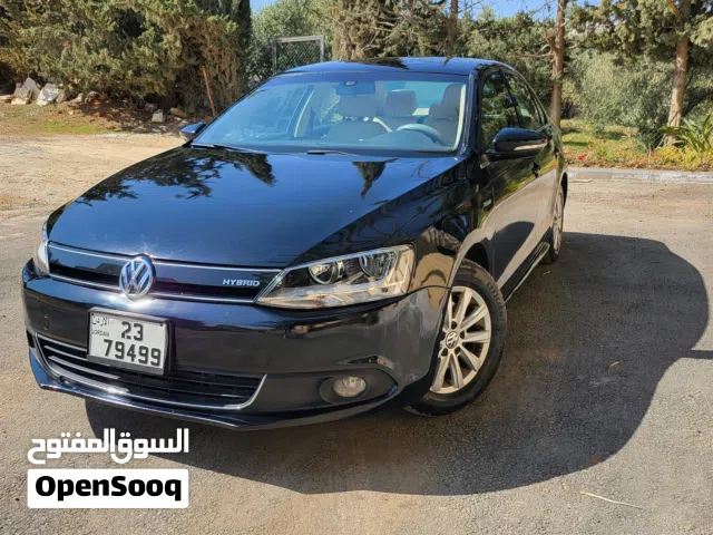 2013, فولكسفاغن, جيتا, Sport