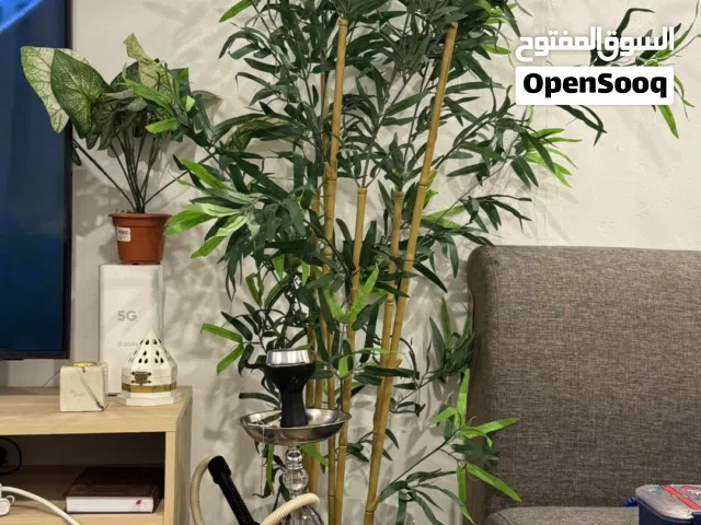 شجرة من هوم سنتر