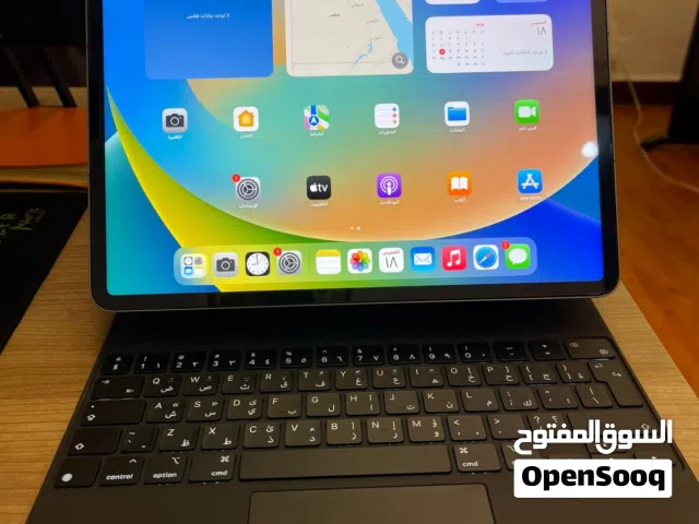 Apple iPad Pro 12.9 inch 6th 256GB M2 Used