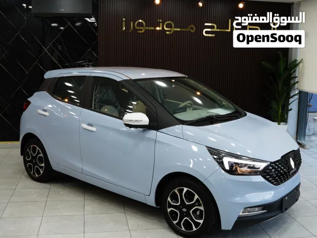 2026 جاي ام اي في EV3
