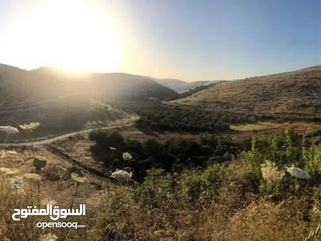 قطعة استثمارية مميزة – مشروع عصيرة 2