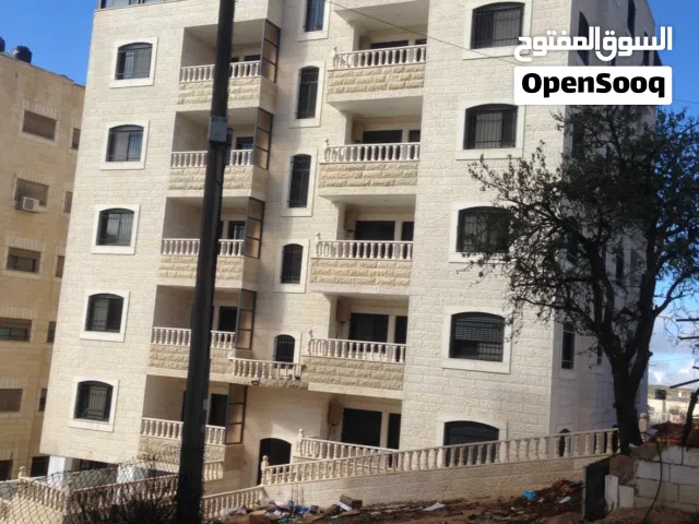 مصطفى شاهين