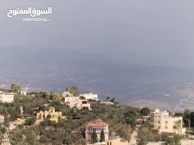 5 دنمات دخلة مطعم خيل وليل اكثر من قطعة