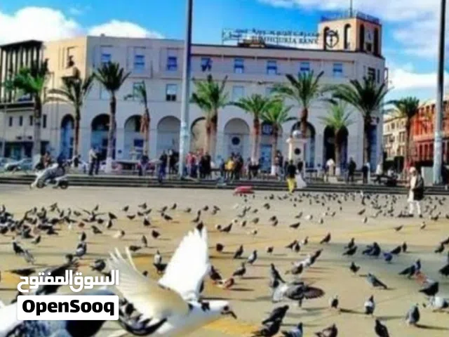 عمارة سكنية للبيع في شارع اول سبتمر