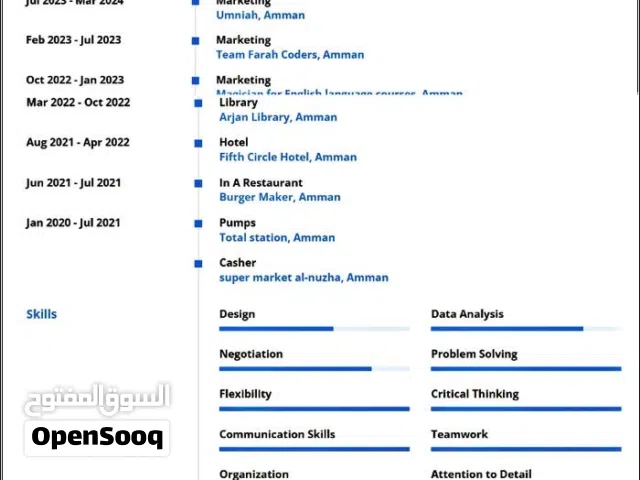 تصميم افضل سيرة ذاتية CV بطرق احترافية وغير منتشره فقط 5 دنانير حسب الطلب وجميع.