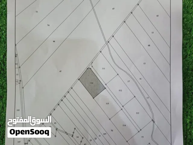 Farm Land for Sale in Mafraq Bala'ama