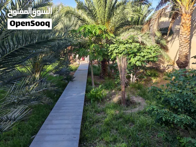 مزرعة بها بئر ونخيل وسفرجل وتين وابقار    واغنام ودواجن وأشئ اخر وتسقى بناء الفلج واشئ حضيرة للابقار